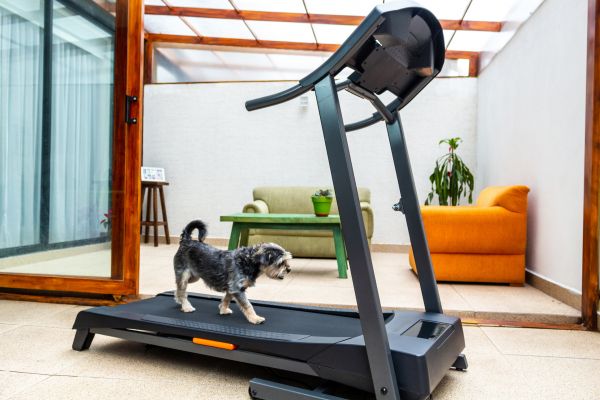 Treadmill Installation in Sioux Falls