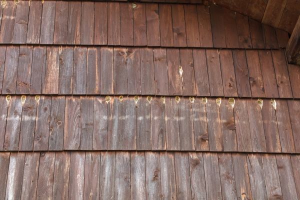 Woodpecker Hole Filling in Sioux Falls