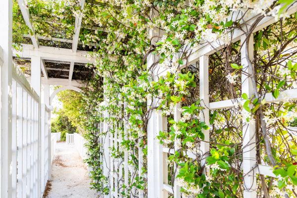 Trellis Repair in Sioux Falls