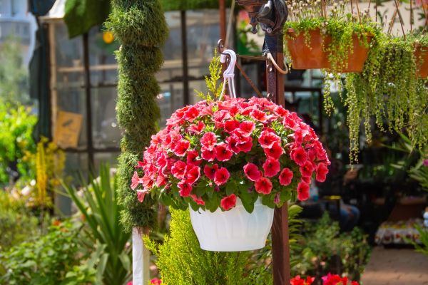 Hanging Planter Installation in Sioux Falls