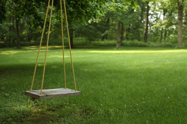 Rope Swing Installation in Sioux Falls