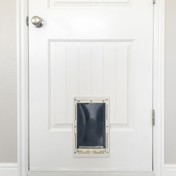 Pet Door Repair in Sioux Falls