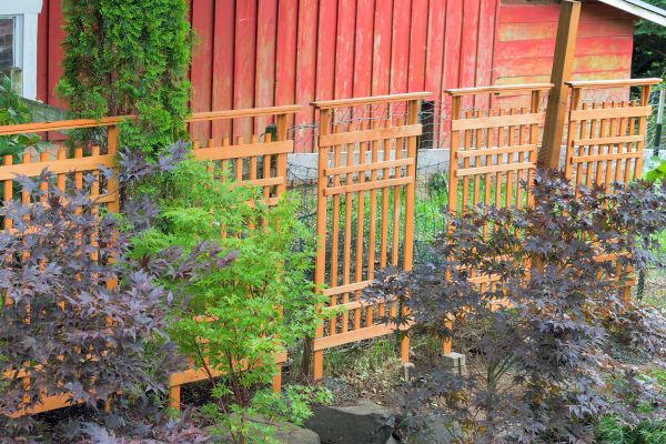 Wood Trellis Mounting in Sioux Falls