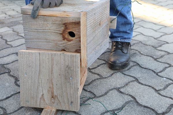 Birdhouse Mounting in Sioux Falls