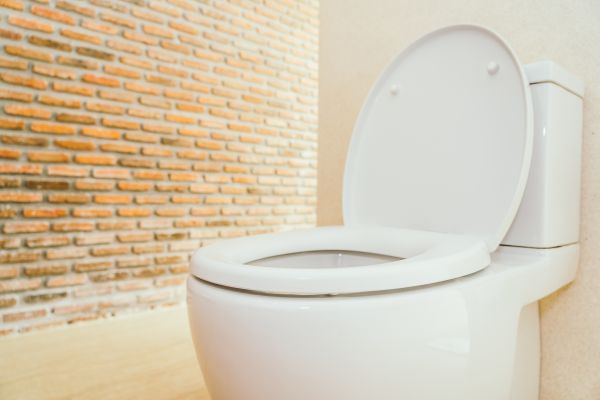 Toilet Seat Repair in Sioux Falls