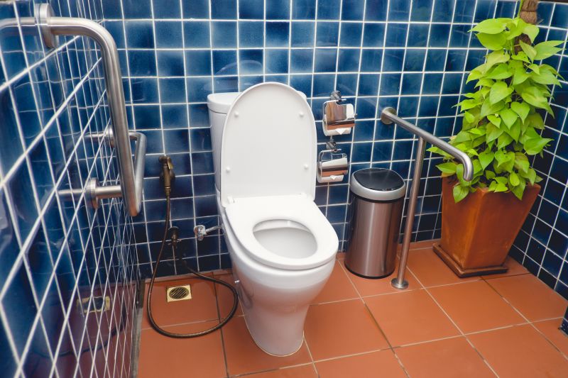 Toilet Handrail Installation